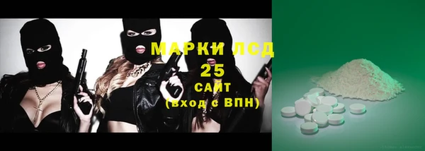 ПСИЛОЦИБИНОВЫЕ ГРИБЫ Алексин