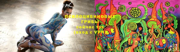 ПСИЛОЦИБИНОВЫЕ ГРИБЫ Алексин