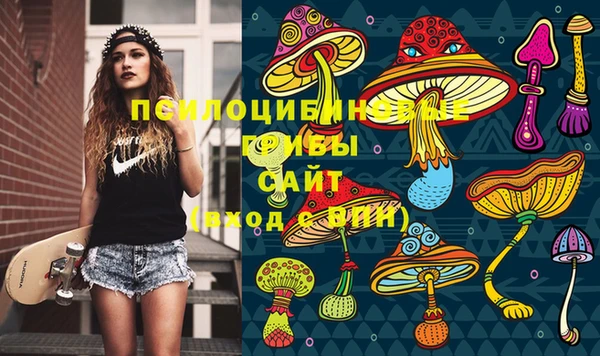 Альфа ПВП Алзамай