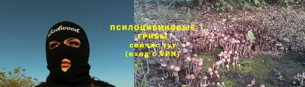 дмт Алексеевка